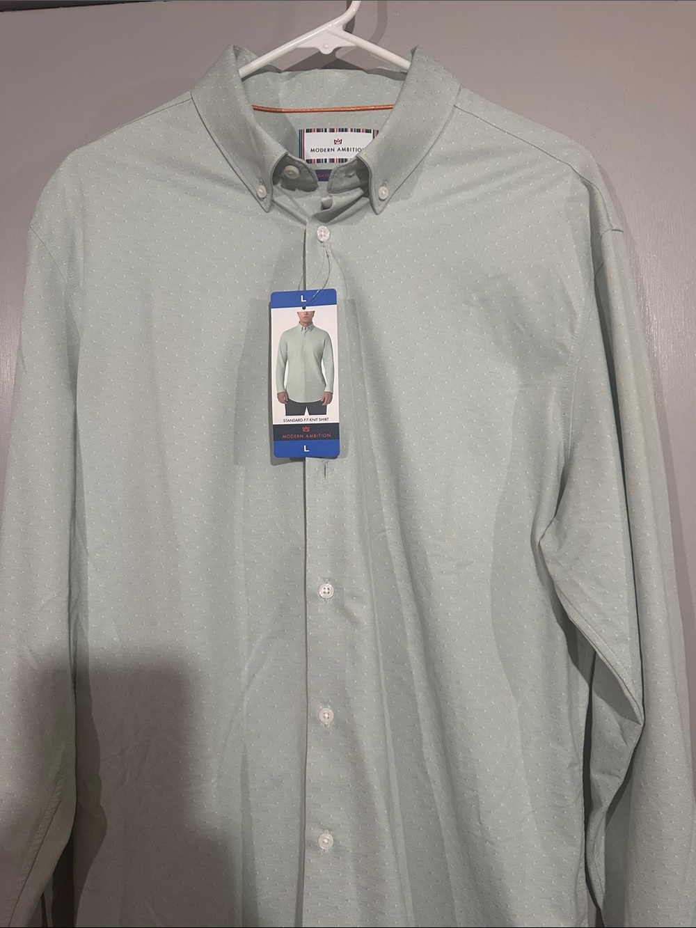 Men's Light Mint Button-Down Dress Shirt - Large